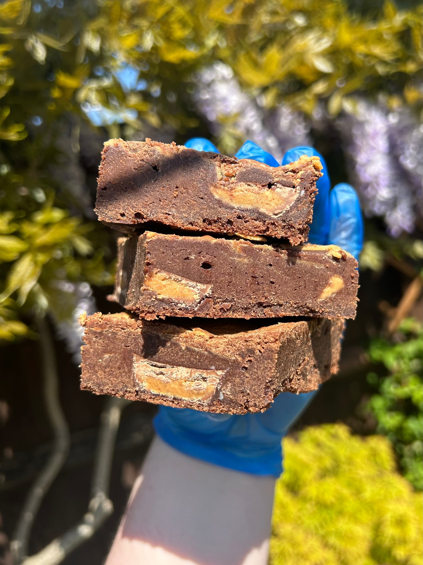 Peanut Butter Brownies