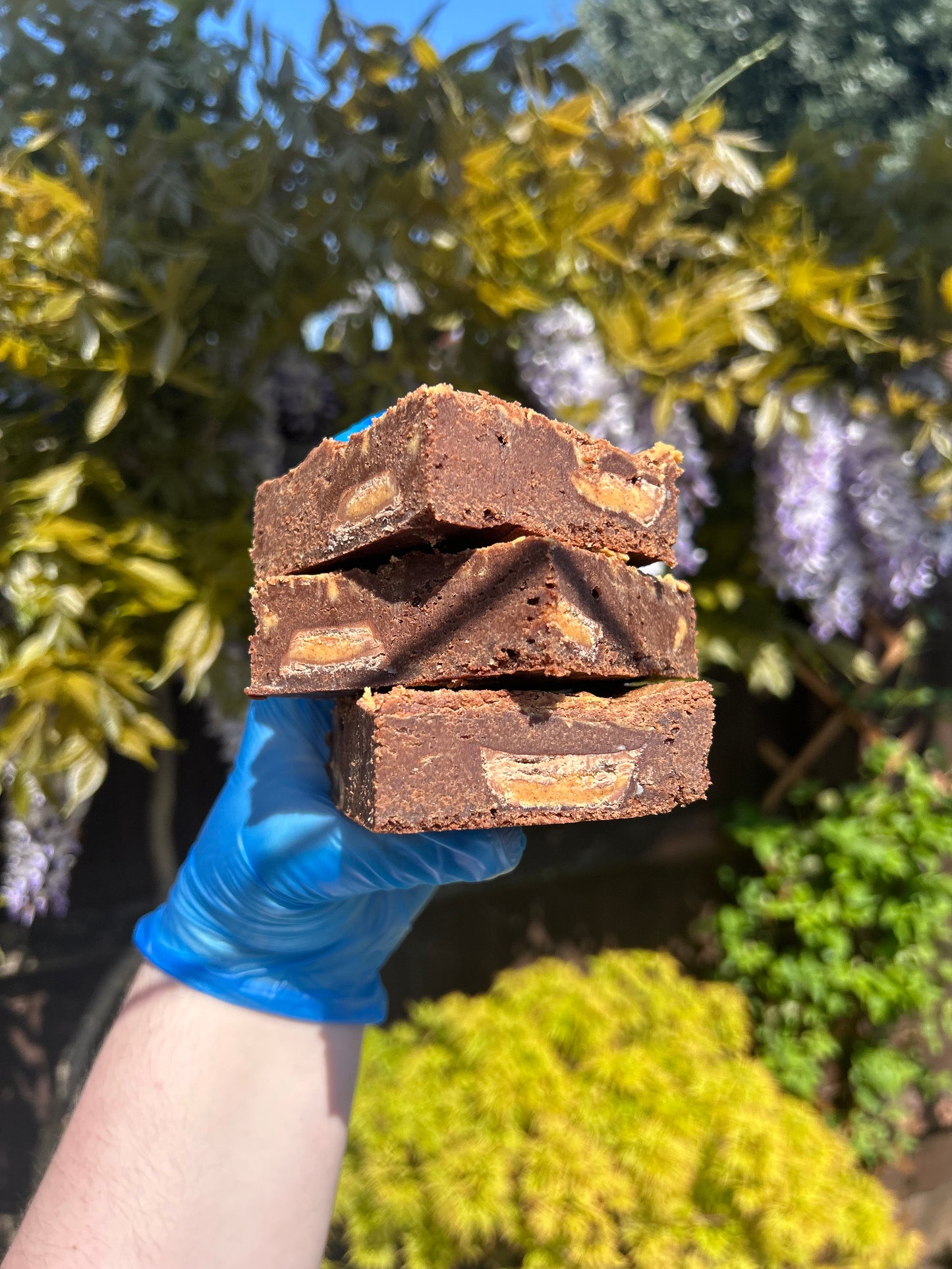 Peanut Butter Brownies