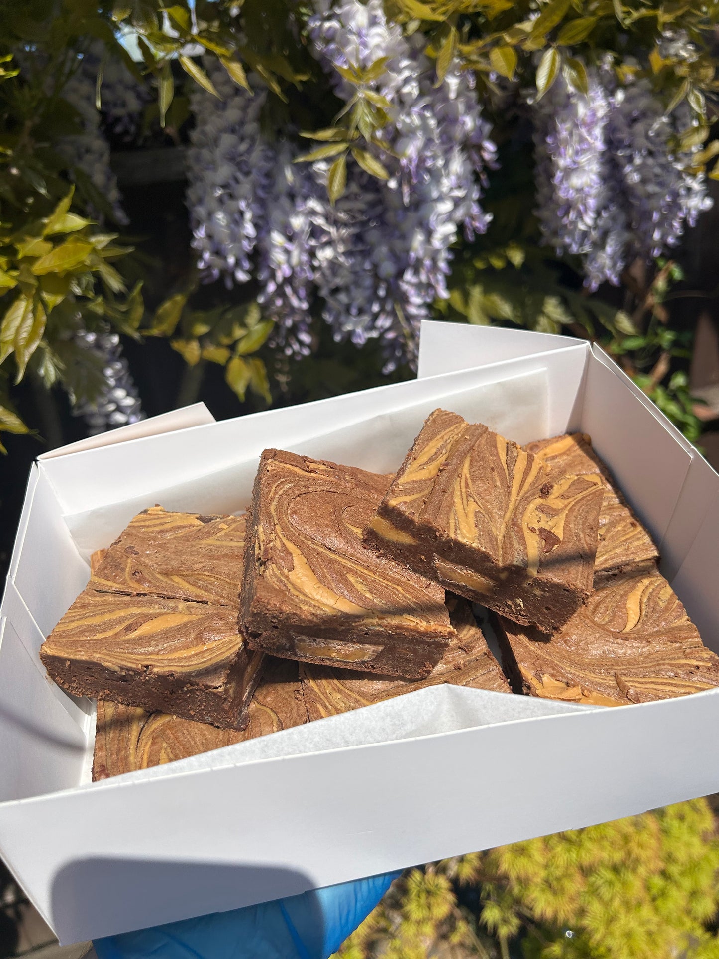 Peanut Butter Brownies